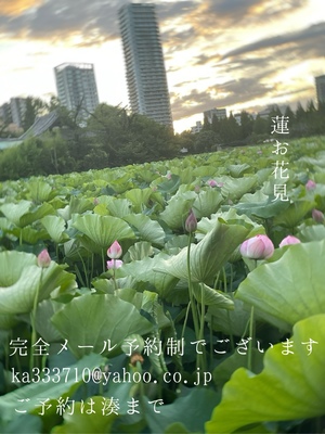 湊 かすみの写メ日記｜ローテンブルク 吉原高級店ソープ