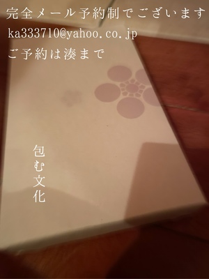 湊 かすみの写メ日記｜ローテンブルク 吉原高級店ソープ