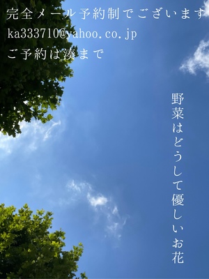 湊 かすみの写メ日記｜ローテンブルク 吉原高級店ソープ