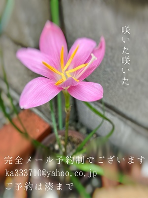 湊 かすみの写メ日記｜ローテンブルク 吉原高級店ソープ