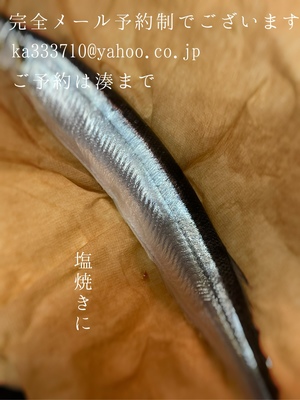 湊 かすみの写メ日記｜ローテンブルク 吉原高級店ソープ