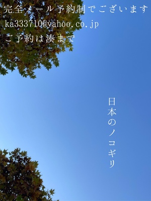 湊 かすみの写メ日記｜ローテンブルク 吉原高級店ソープ