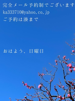 湊 かすみの写メ日記｜ローテンブルク 吉原高級店ソープ