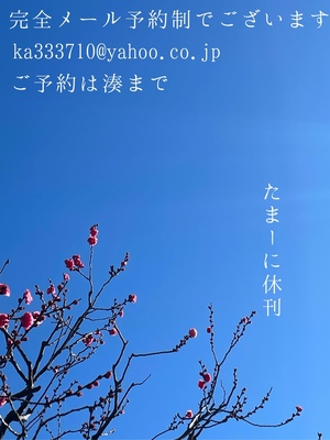 湊 かすみの写メ日記｜ローテンブルク 吉原高級店ソープ