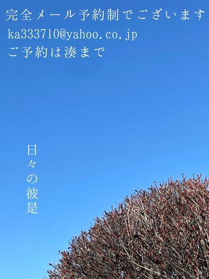 湊 かすみの写メ日記｜ローテンブルク 吉原高級店ソープ