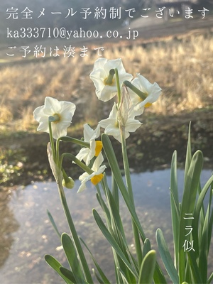 湊 かすみの写メ日記｜ローテンブルク 吉原高級店ソープ