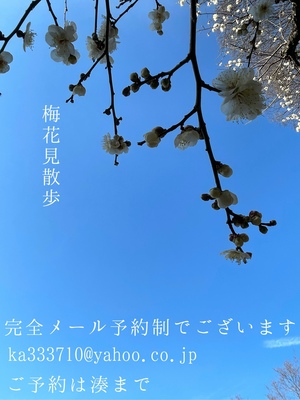 湊 かすみの写メ日記｜ローテンブルク 吉原高級店ソープ