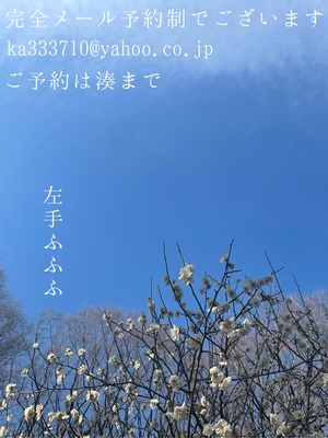 湊 かすみの写メ日記｜ローテンブルク 吉原高級店ソープ