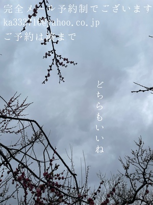 湊 かすみの写メ日記｜ローテンブルク 吉原高級店ソープ