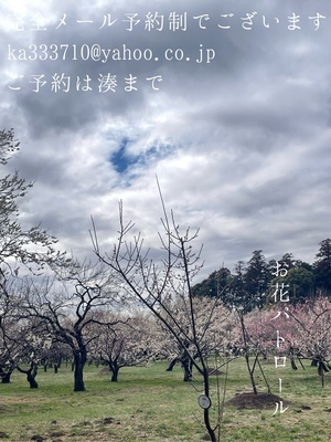 湊 かすみの写メ日記｜ローテンブルク 吉原高級店ソープ