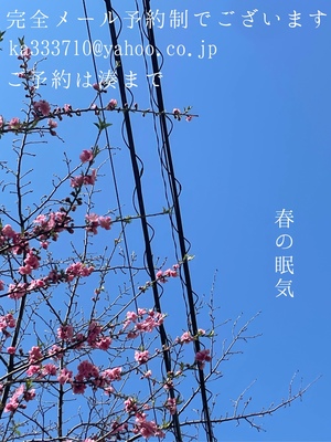 湊 かすみの写メ日記｜ローテンブルク 吉原高級店ソープ