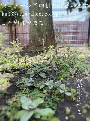 湊 かすみの写メ日記｜ローテンブルク 吉原高級店ソープ