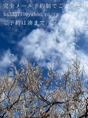 湊 かすみの写メ日記｜ローテンブルク 吉原高級店ソープ