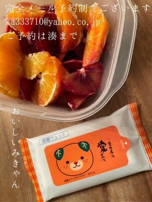 湊 かすみの写メ日記｜ローテンブルク 吉原高級店ソープ