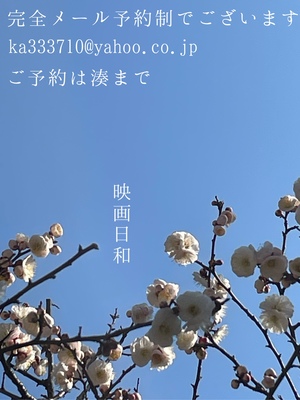 湊 かすみの写メ日記｜ローテンブルク 吉原高級店ソープ