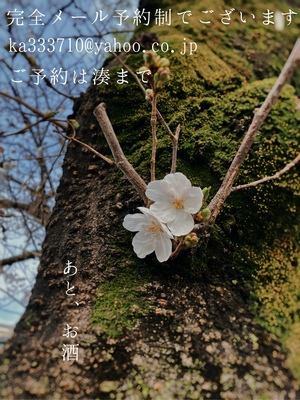 湊 かすみの写メ日記｜ローテンブルク 吉原高級店ソープ