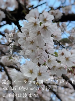 湊 かすみの写メ日記｜ローテンブルク 吉原高級店ソープ