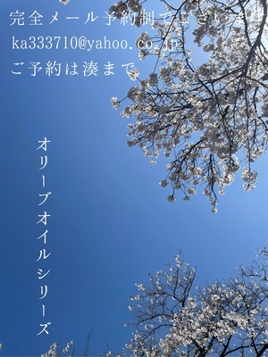 湊 かすみの写メ日記｜ローテンブルク 吉原高級店ソープ