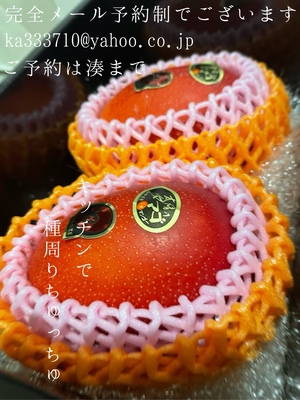 湊 かすみの写メ日記｜ローテンブルク 吉原高級店ソープ