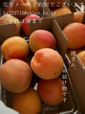 湊 かすみの写メ日記｜ローテンブルク 吉原高級店ソープ