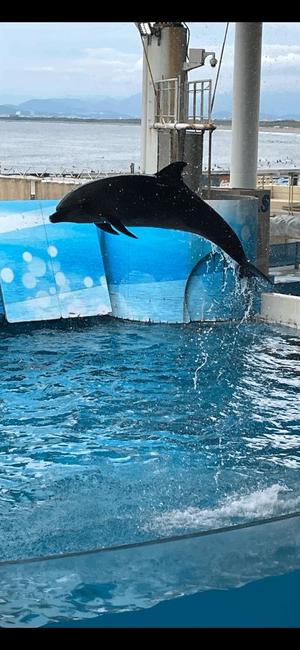 美咲りんかの写メ日記|ローテンブルク 吉原高級店ソープ