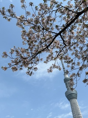 里中あいりの写メ日記｜ローテンブルク 吉原高級店ソープ