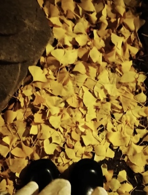 里中あいりの写メ日記｜ローテンブルク 吉原高級店ソープ