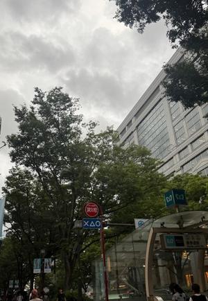 椿 こずえの写メ日記｜ローテンブルク 吉原高級店ソープ