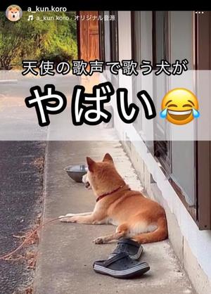 椿 こずえの写メ日記｜ローテンブルク 吉原高級店ソープ