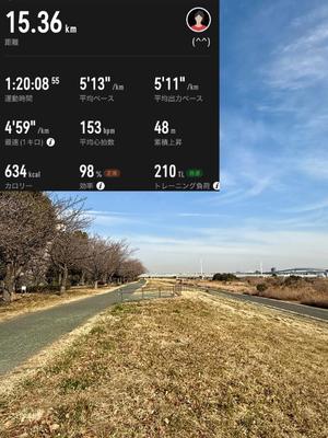 椿 こずえの写メ日記｜ローテンブルク 吉原高級店ソープ