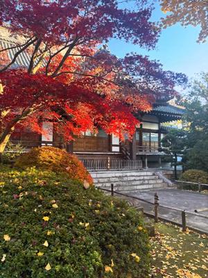 藤崎美奈の写メ日記｜ローテンブルク 吉原高級店ソープ