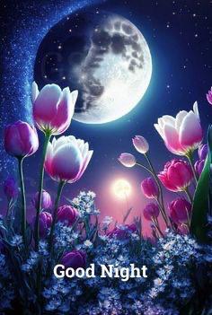 藤崎美奈の写メ日記｜ローテンブルク 吉原高級店ソープ