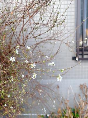 藤崎美奈の写メ日記｜ローテンブルク 吉原高級店ソープ