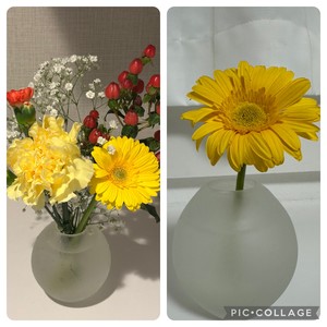 白瀬奈美の写メ日記｜ローテンブルク 吉原高級店ソープ