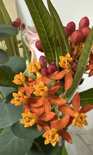 白瀬奈美の写メ日記｜ローテンブルク 吉原高級店ソープ