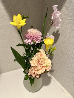 白瀬奈美の写メ日記｜ローテンブルク 吉原高級店ソープ