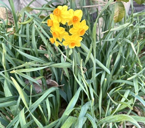 白瀬奈美の写メ日記｜ローテンブルク 吉原高級店ソープ