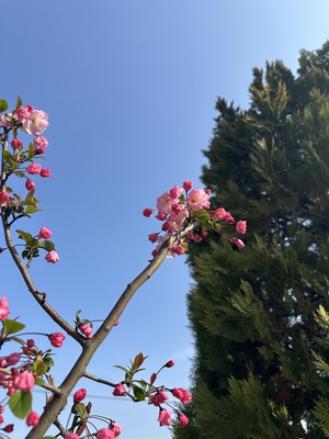 白瀬奈美の写メ日記｜ローテンブルク 吉原高級店ソープ