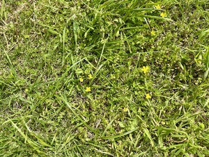 白瀬奈美の写メ日記｜ローテンブルク 吉原高級店ソープ