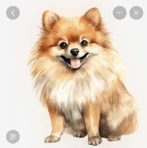 白瀬奈美の写メ日記｜ローテンブルク 吉原高級店ソープ