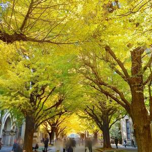 志摩かおるの写メ日記｜ローテンブルク 吉原高級店ソープ