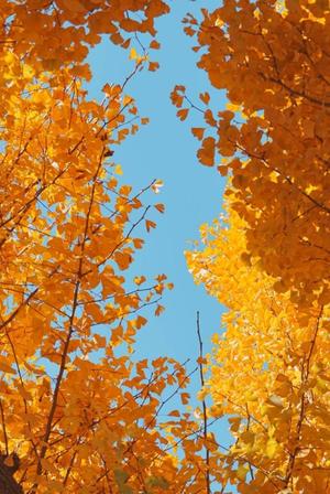 土屋まなみの写メ日記｜ローテンブルク 吉原高級店ソープ