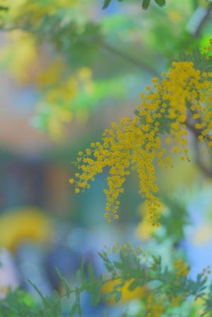 土屋まなみの写メ日記｜ローテンブルク 吉原高級店ソープ