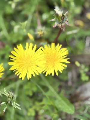 水越まいの写メ日記｜ローテンブルク 吉原高級店ソープ