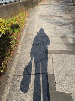 芦屋 潤の写メ日記｜セグレターリオ 吉原高級店ソープ