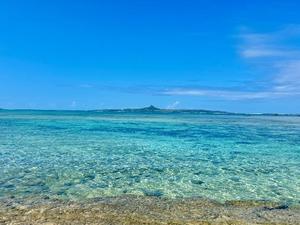 水愛の写メ日記｜セグレターリオ 吉原高級店ソープ