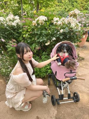 あずさの写メ日記｜セグレターリオ 吉原高級店ソープ