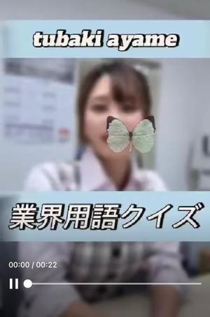 椿あやめの写メ日記｜セグレターリオ 吉原高級店ソープ