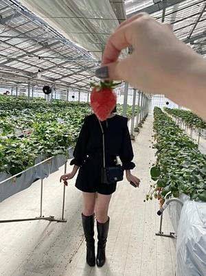 ひめの写メ日記｜セグレターリオ 吉原高級店ソープ