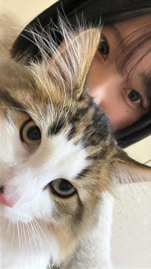 わかなの写メ日記｜セグレターリオ 吉原高級店ソープ